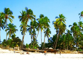 Escale Californie (Catalina Island)